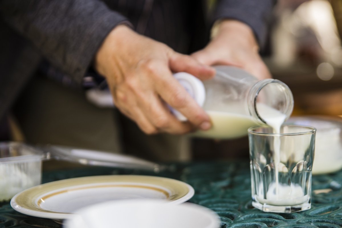 Degustación de leche fresca durante una de las experiencias de la Ruta de la Leche