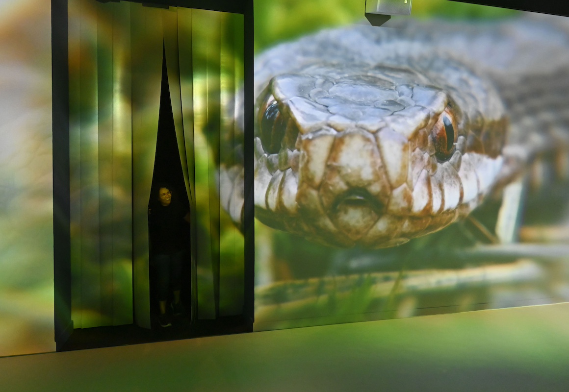 Exposició Som Natura al Cosmocaixa