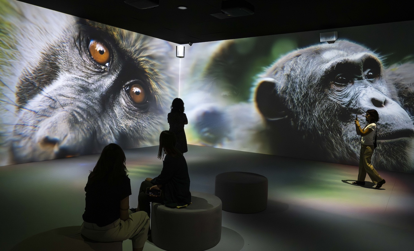 Som Natura del Cosmocaixa