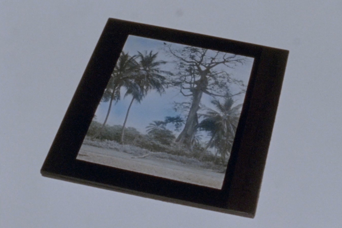 Obra '¿Se puede deletrear la hoja?, de Valentina Alvarado.