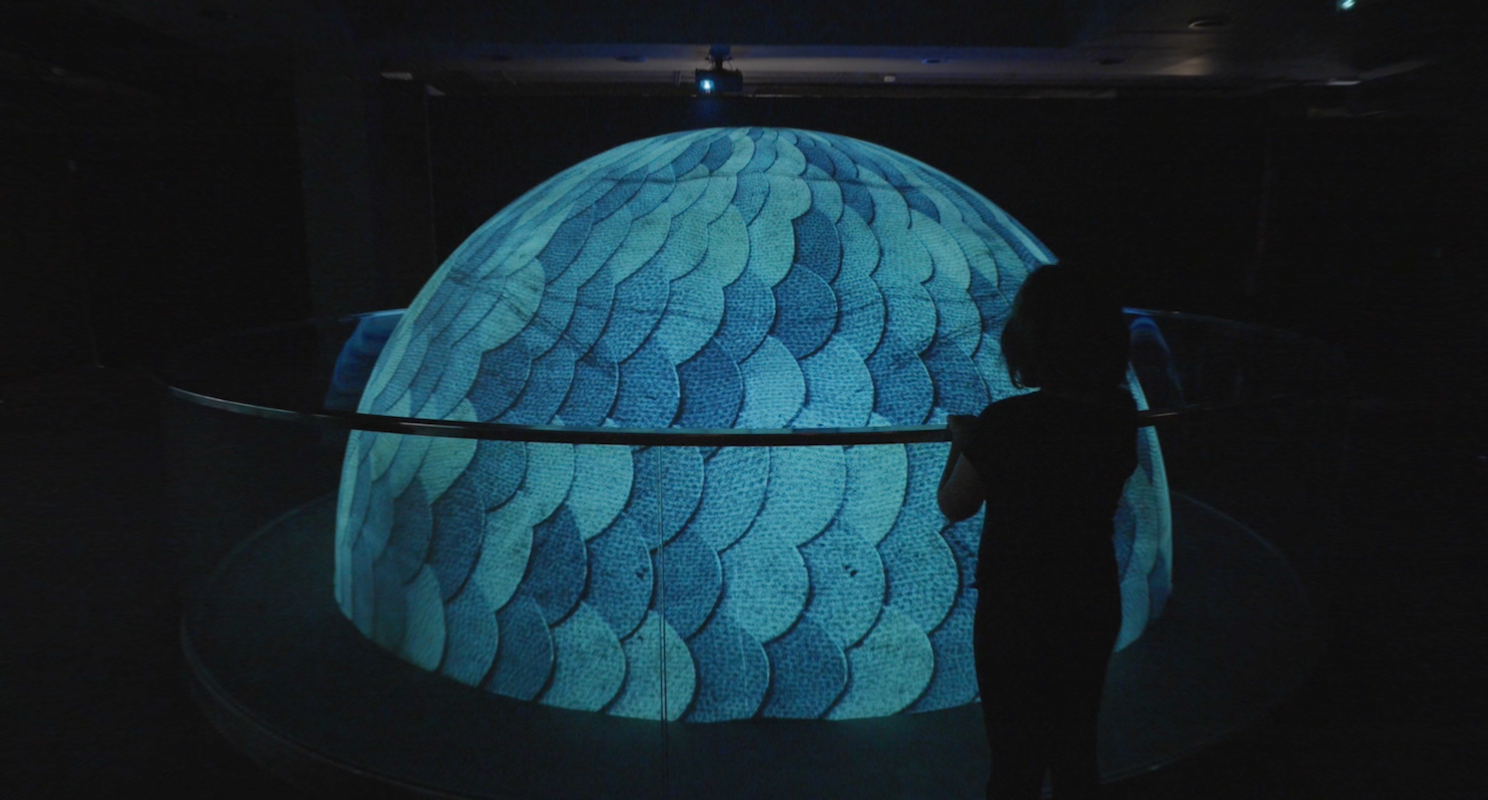 Exposición Bibloteca Fantàstica de les Bèstia en el Centre d'Art Ametller