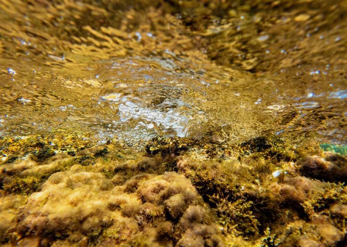 Golden Hour, de Mínguez de Molina